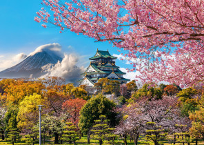 " ФРЕЯ" Пазл 1000 элемент. PZL- 1000/ 56 Замок в Осаке, Япония